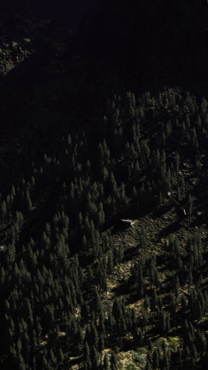 Mountain landscape with dense forests under clear blue sky during daytime