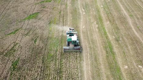 aerial view of a green vintage combine harvester mows wheat in the field for the food industry, yellow reap grain crops, sunny summer day, tracking birdseye shot moving forward