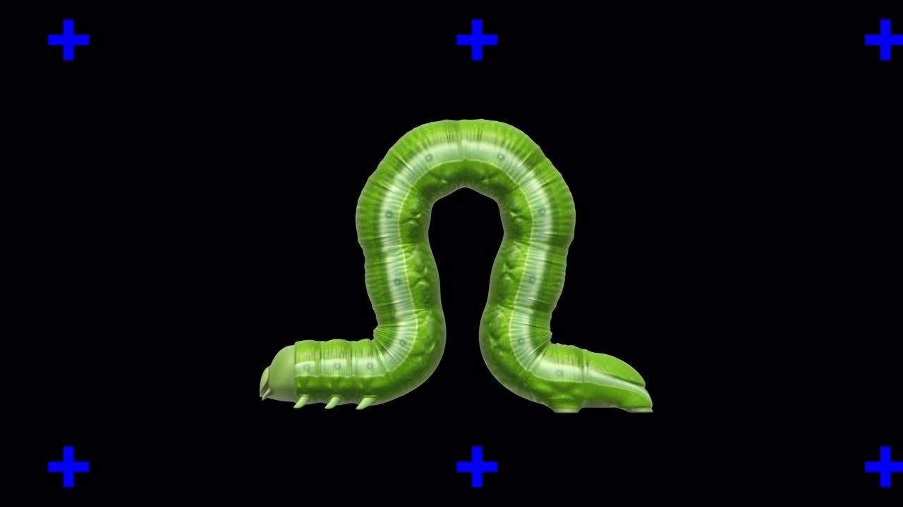 투명한 배경의 애벌레, 루핑 3d 애니메이션