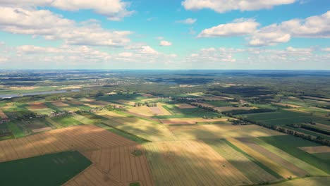 fotografía aérea de un campo agrícola