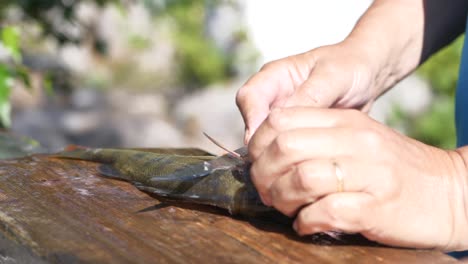 Man-preparing-and-cleaning-raw-fish-before-cooking,-outdoor-summer-kitchen,-slow-motion-handheld-close-up-with-shallow-depth-of-field