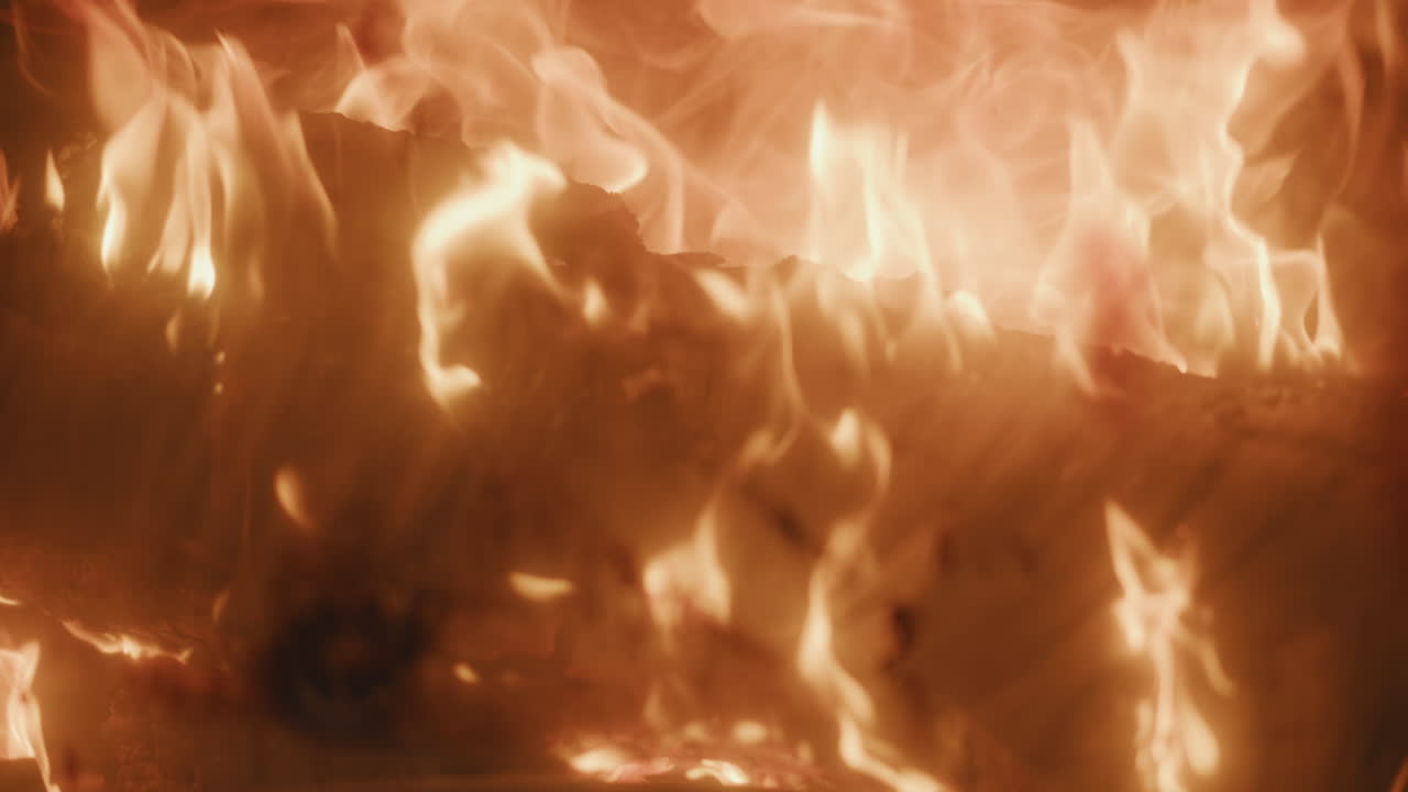 연료 나무를 태우는 것