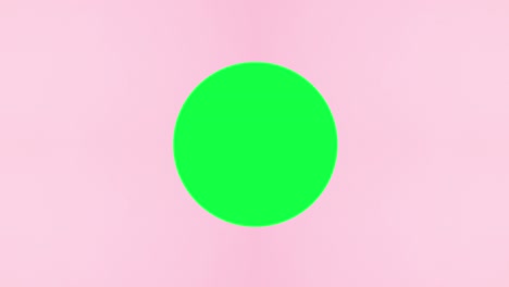 las botellas de uñas de polis y las herramientas de manicura aparecen debajo de la pantalla verde sobre un fondo rosa. detenga el movimiento