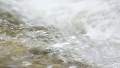 el agua cristalina fluye sobre las piedras.