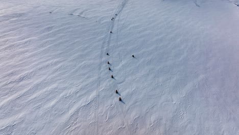 Aerial-view-over-people-riding-snowmobiles-on-the-frozen-ground-of-Myrdalsjokull-glacier-in-Iceland