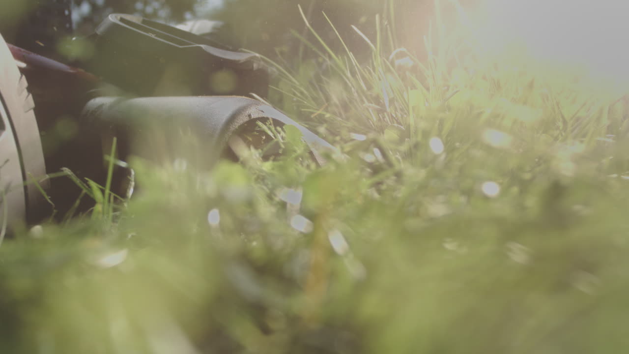 잔디를 잘라내는 잔디 기 기계