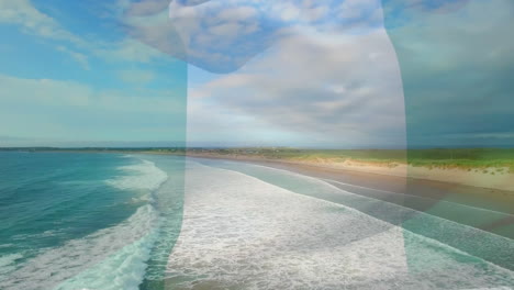 Animation of flag of nigeria portugal blowing over beach landscape