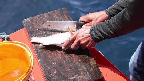 hands filleting fish on a wooden board