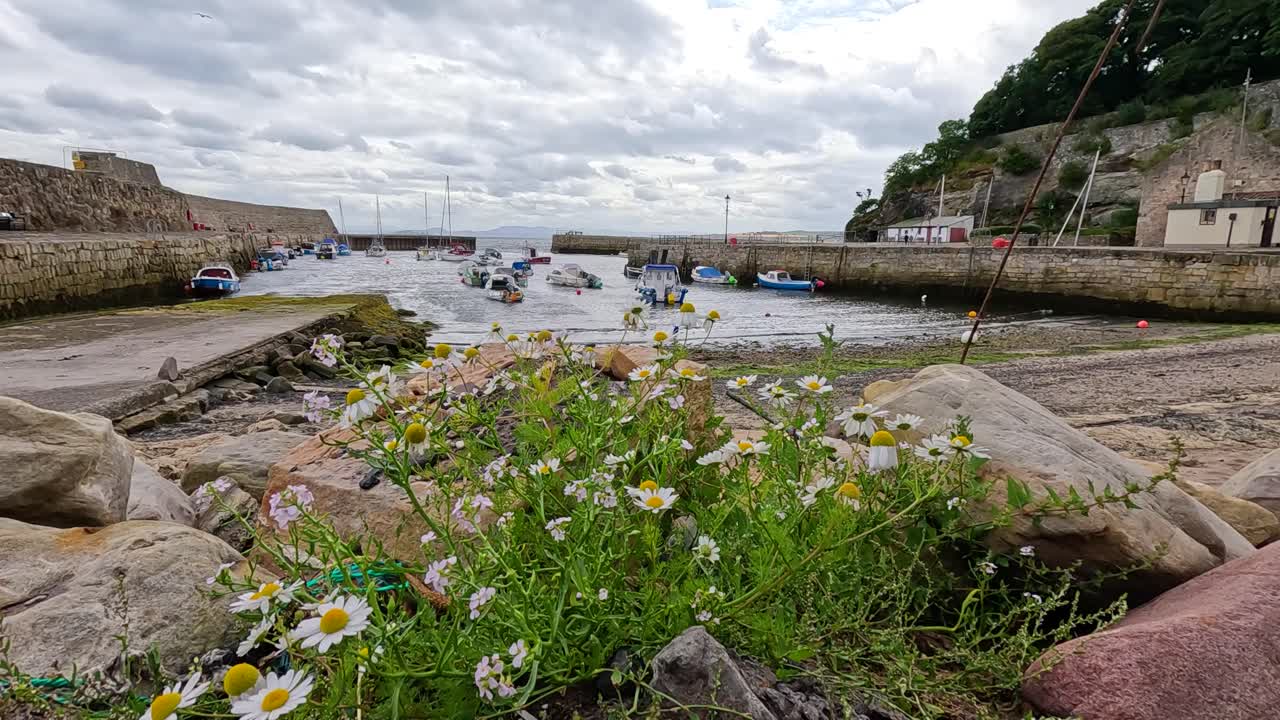 un pintoresco puerto con pequeños barcos y flores
