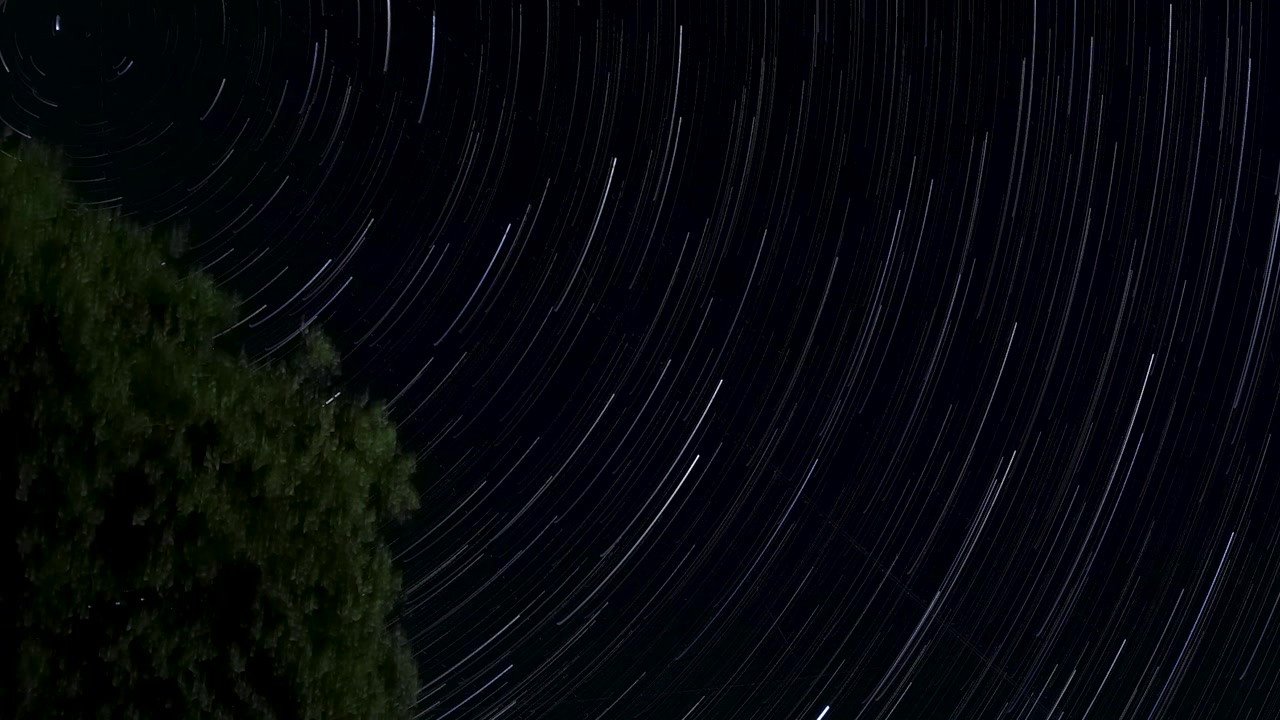 Langit Malam Eksposur Panjang dengan Jejak Bintang Berputar dan Pohon.