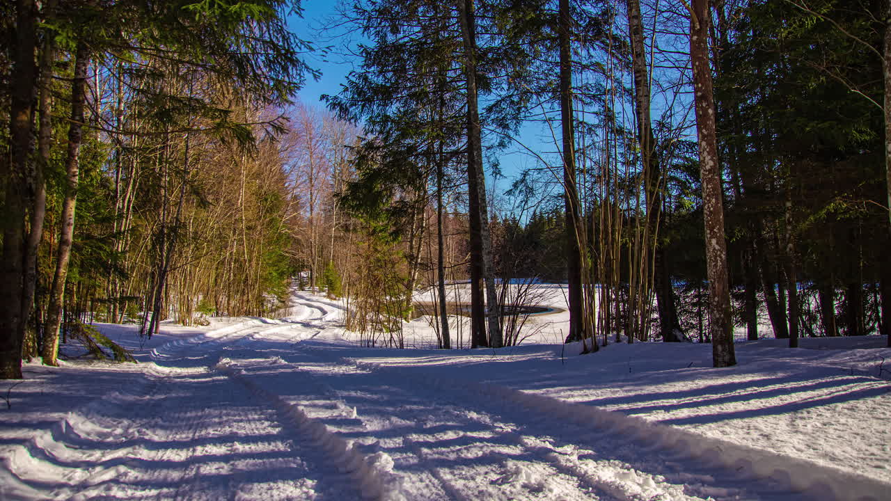 Shadows of a dense forest moving over the car tracks in the snow on a sunny autumn day
