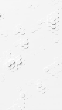 a white background with hexagonal shapes. vertical looped animation