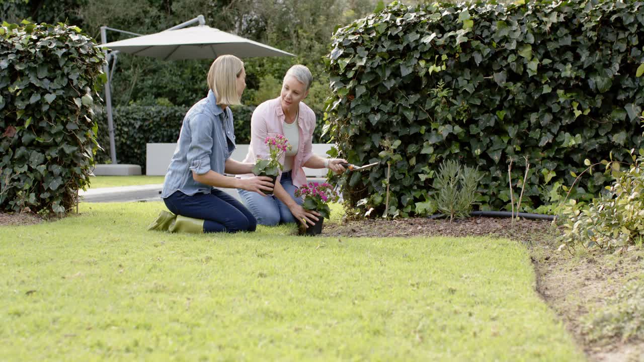 Noticing soil patch, female friends kneeling on garden lawn, planting flowering pots with trowel