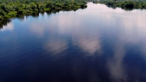 Black-river-water-at-the-Amazon-basin,-major-tributary-of-the-Amazon-River