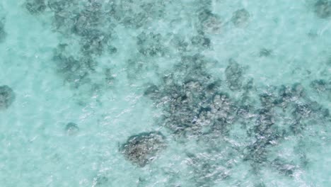 Drone's-View-of-Coral-Reefs-in-Los-Roques