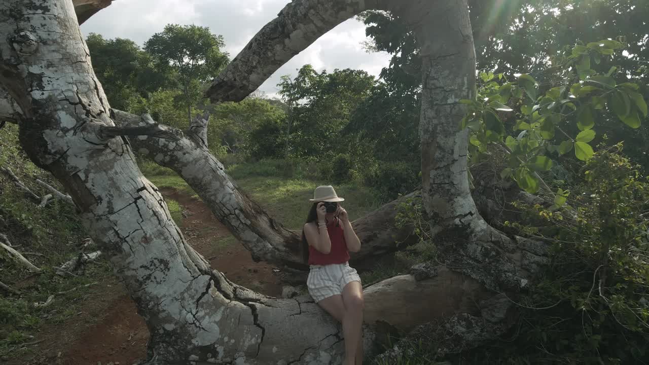 drone tiro hacia adelante de la mujer con la cámara sentada en el árbol caído