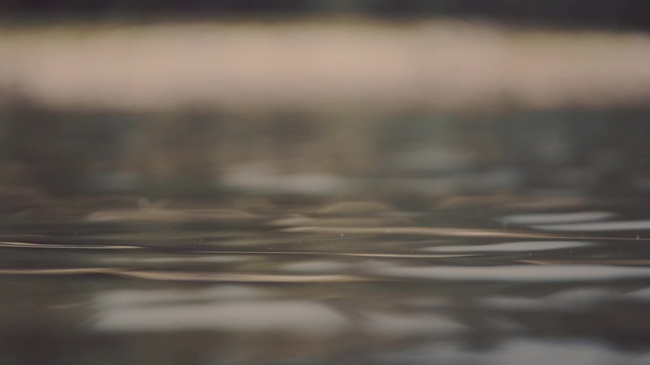 Primo piano della superficie dell'acqua calma con lievi increspature e riflessi tenui