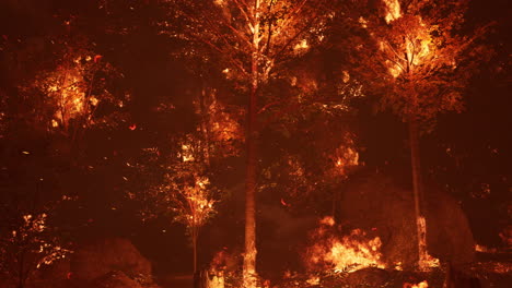 Large-flames-of-forest-fire