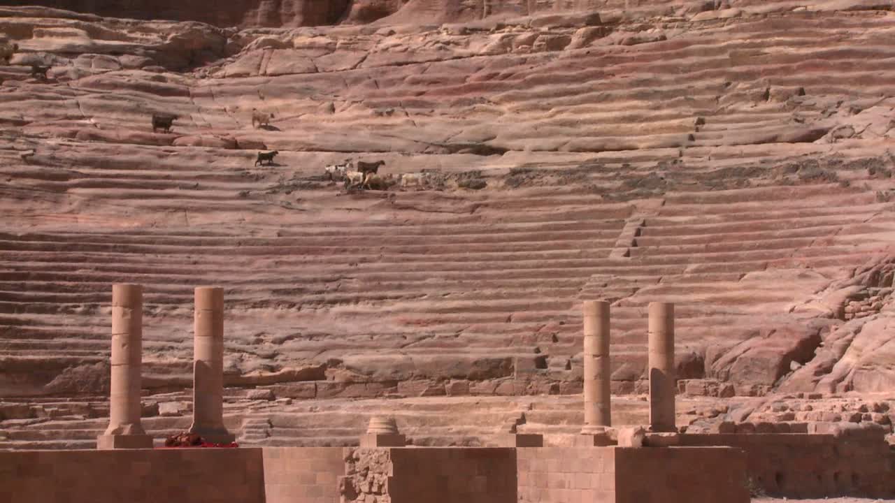 ovejas y cabras caminan alrededor del antiguo anfiteatro en petra jordan 3