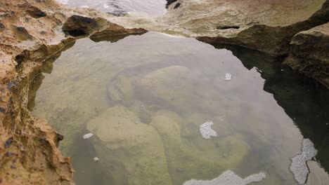 rockpool with marine life on rocky shore