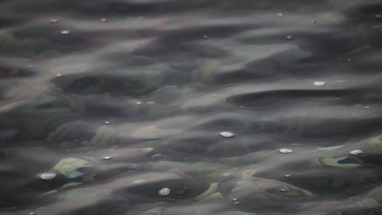 Transparent Water Of A Calm River With Rocky Stones Bottom