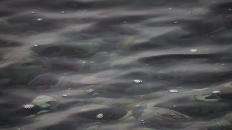 agua transparente de un río tranquilo con fondo de piedras rocosas