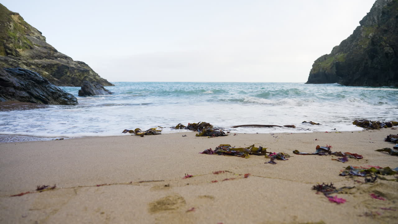 Scenic Coastal Beach with Seaweed