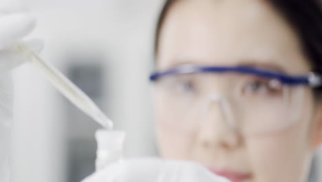 scientist work in biological laboratory, transferring solution samples to a tissue culture flask with suction pipette, carrying out experiments and analyzing their findings while using test tubes