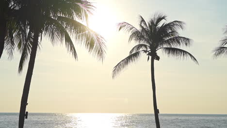 california sunset beach with backlit palm trees