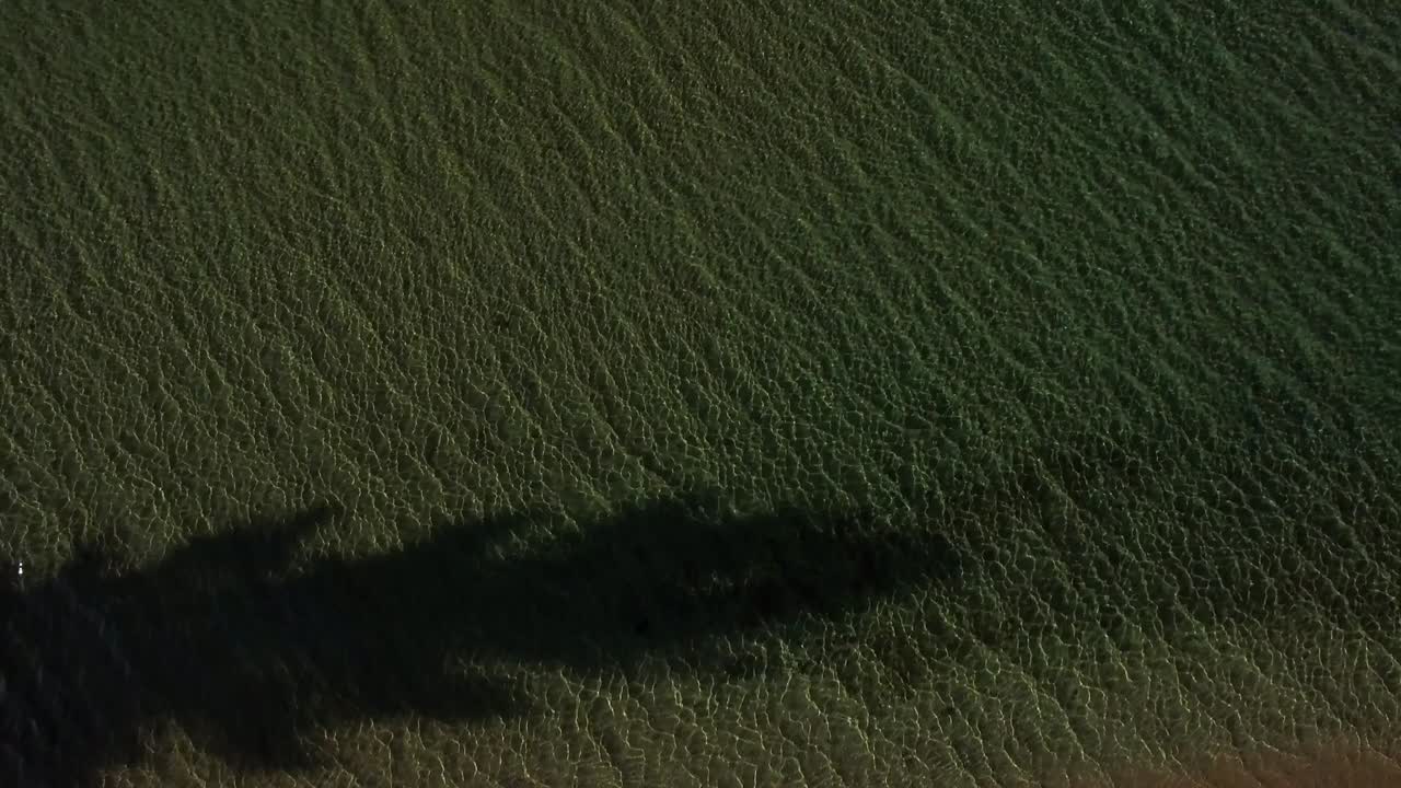 Flying from coast to vast open sea
