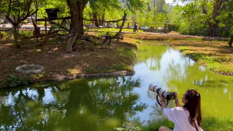 photographer focuses on gibbons in natural habitat