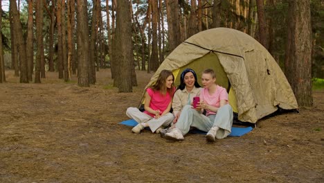 friends camping in the forest