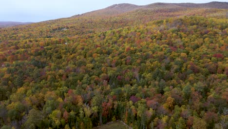 Atemberaubende-Naturlandschaft-Mit-Buntem-Herbstlaub-In-Neuengland---Luftflugansicht