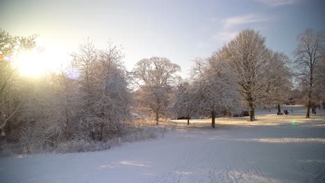 白雪覆蓋了樹枝,而人們在背景享受冬天