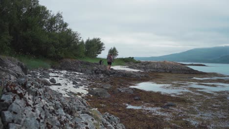 Person-With-His-Pet-Dog-Is-Walking-At-The-Shore-Near-Stonglandshals,-Norway