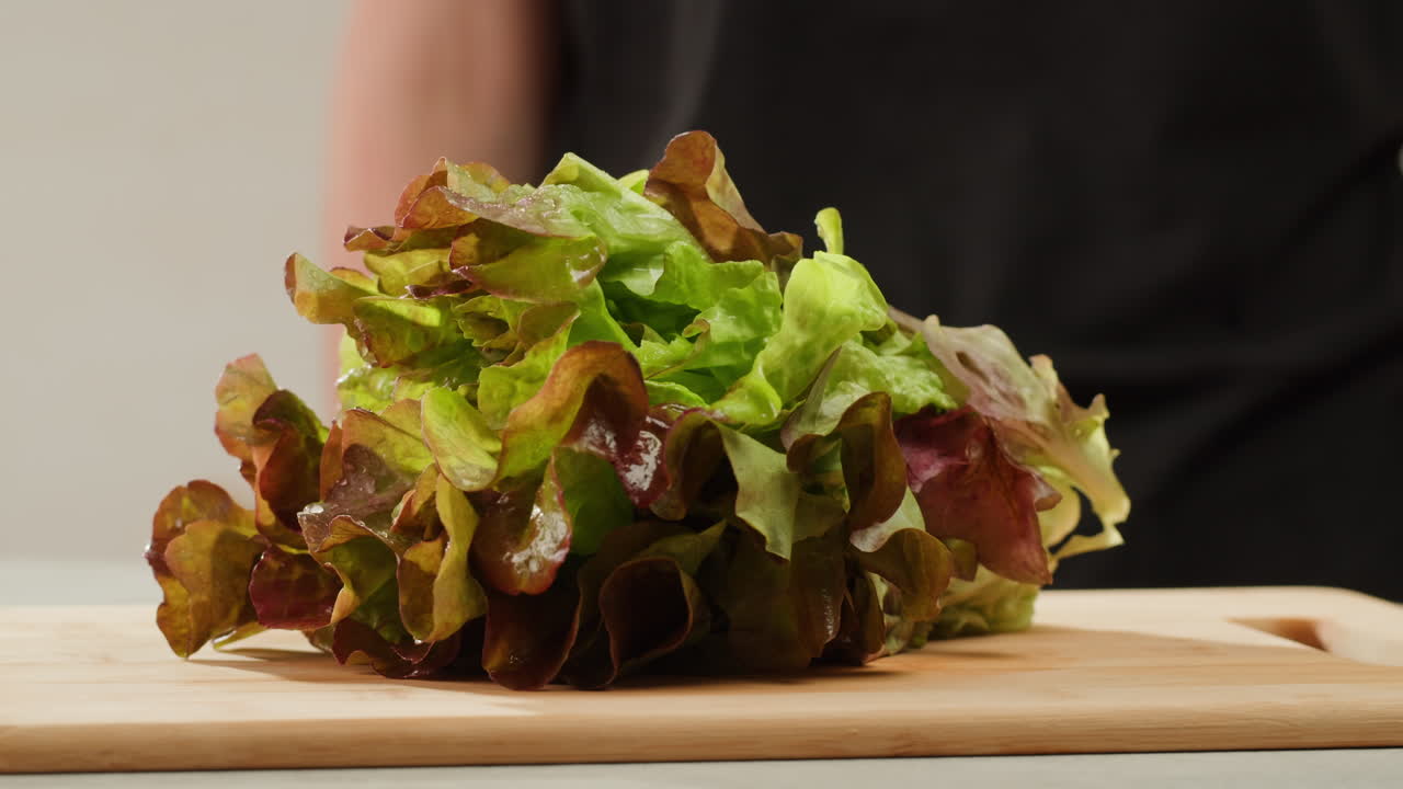Fresh salad green lettuce leaves on white background close up macro, vegan food.