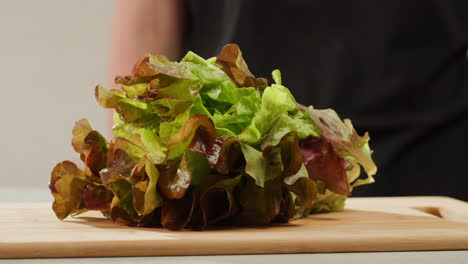 fresh salad green lettuce leaves on white background close up macro, vegan food.