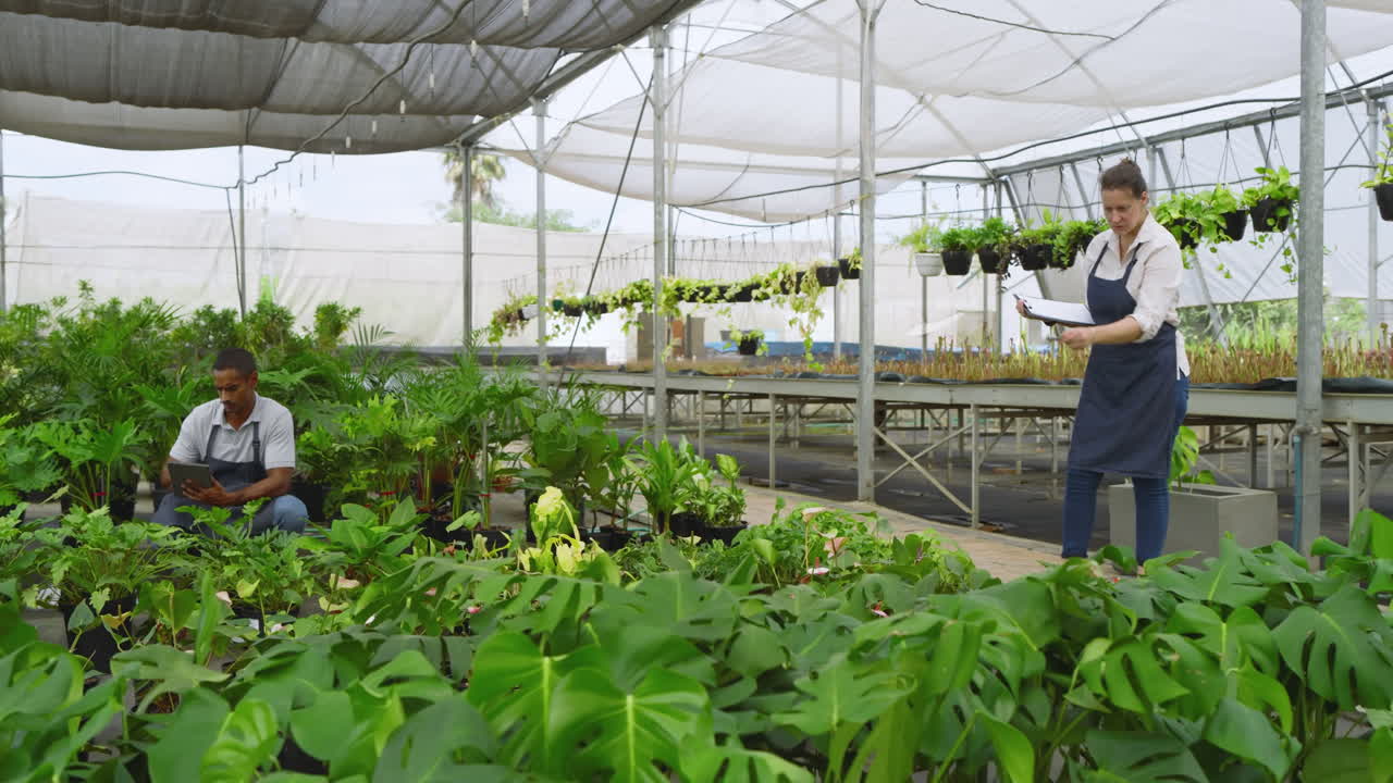 Diverse gardeners in greenhouse inspecting plants and taking notes on clipboard