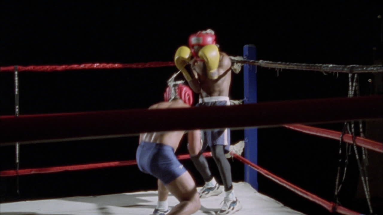 dos boxeadores intercambian golpes en el ring