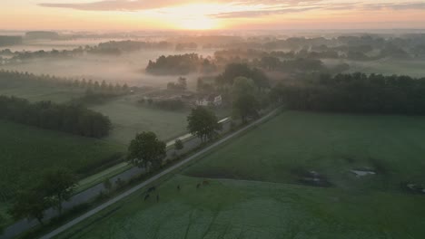 sunrise over a misty dutch farmland