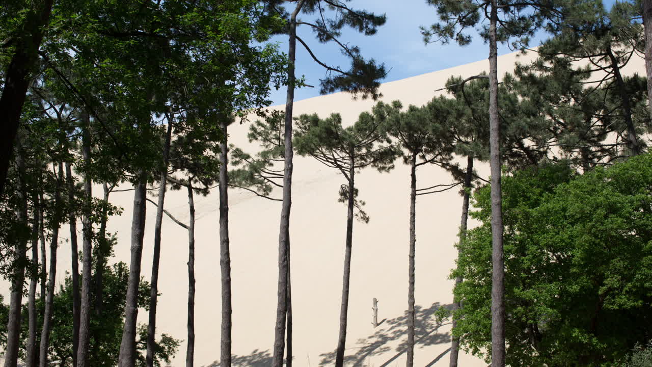 모래 언덕 필라 00