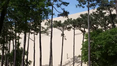 dunas pila 00