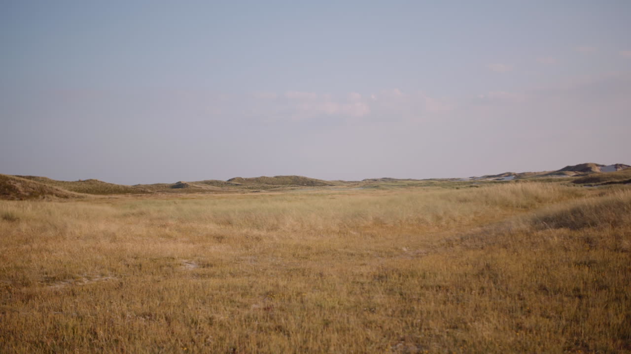 Vidtstrakt gylden græsmark og klitter under klar himmel