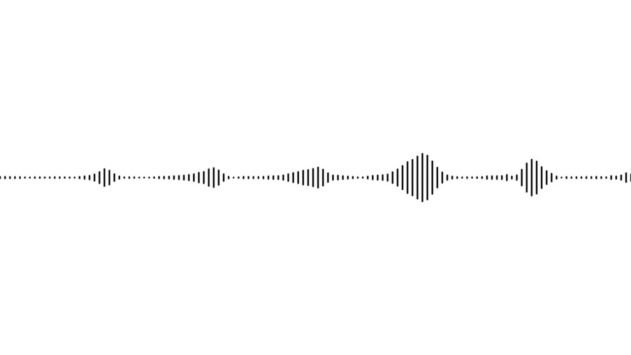 A simple black and white speech audio visualization