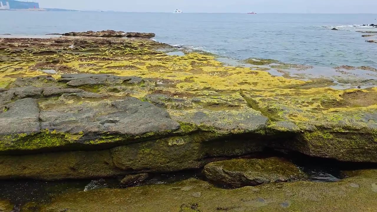 Primo piano di formazioni di arenaria stratificata densamente coperte da alghe giallo-verdi lungo la costa di Sagye Beach, con l'oceano calmo sullo sfondo