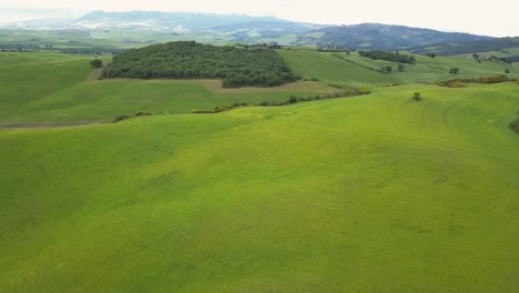 [imágenes aéreas] volando sobre un campo agrícola en la campiña toscana mostrando la belleza de la zona en primavera