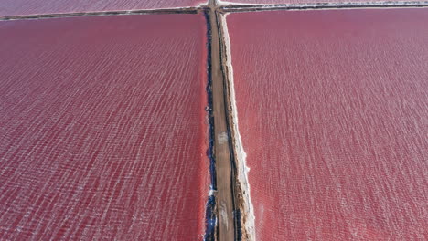 slow drone reveal shot of a vibrant pink salt lake in walvis bay, namibia, with small waves rippling under strong coastal winds
