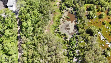 imágenes aéreas de bosques y cuerpos de agua