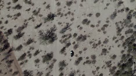 off-road car crossing etosha national park in namibia, africa