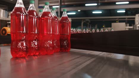 packed bottle moving on conveyor belt